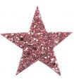 Pastorelli Starlight Coarse Grained Glitter Hairclip PINK