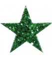 Pastorelli Starlight Coarse Grained Glitter Hairclip GREEN